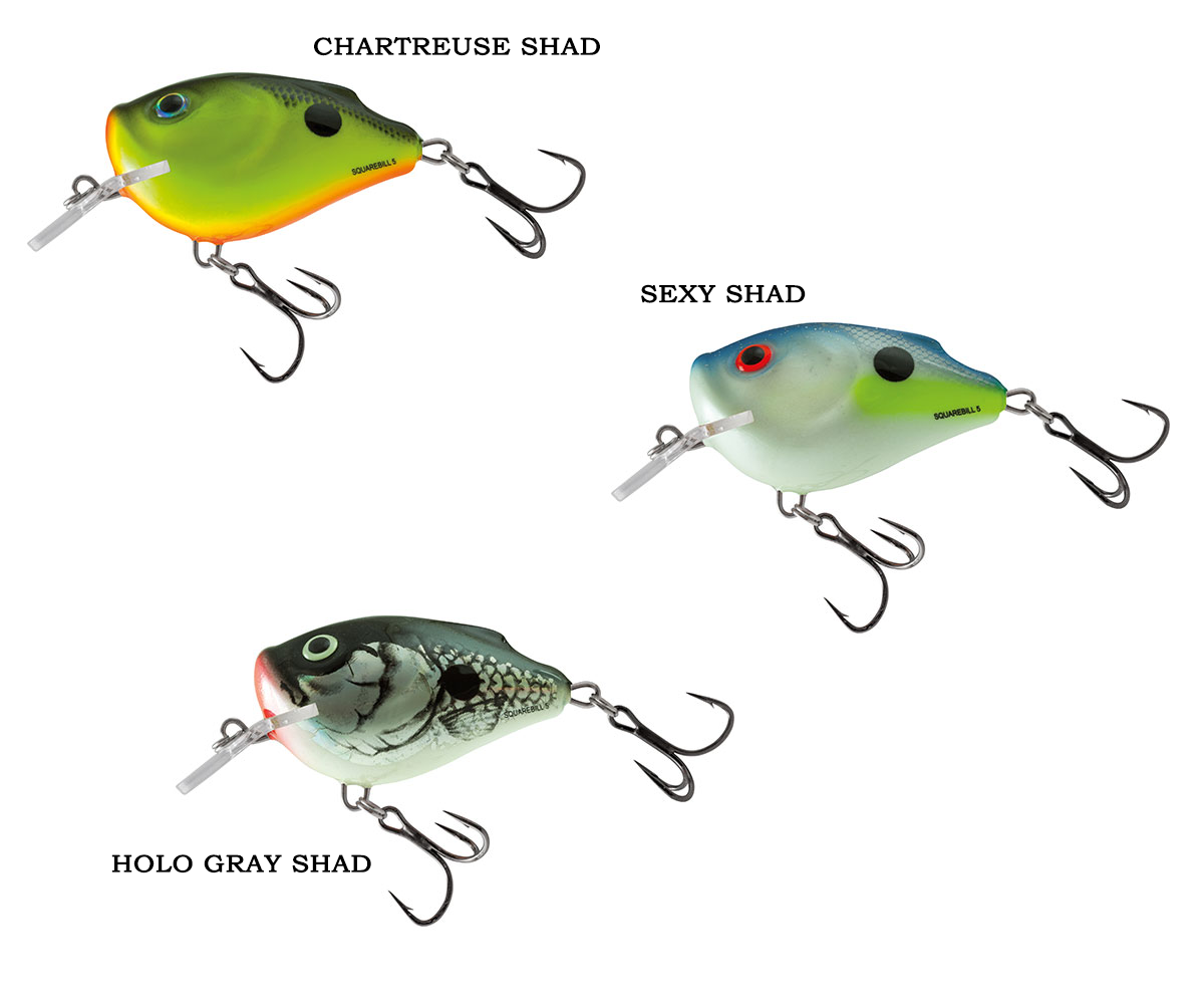 SALMO SQUAREBILL SQ5F SXS
