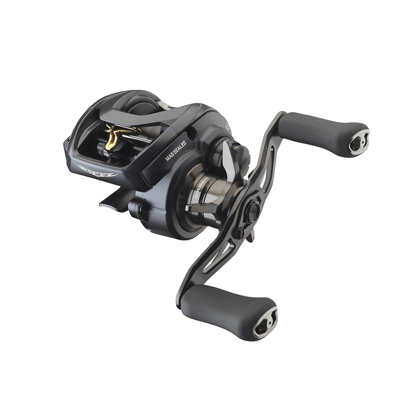 DAIWA STEEZ A II TW 1000L DAIWA STEEZ A II TW 1000L