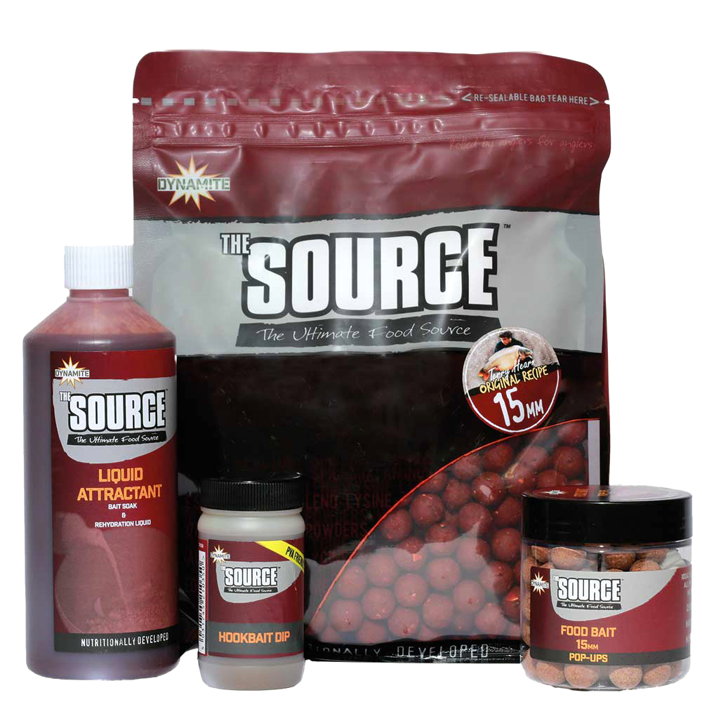 DYNAMITE BAITS THE SOURCE BOJLI 20mm 1KG